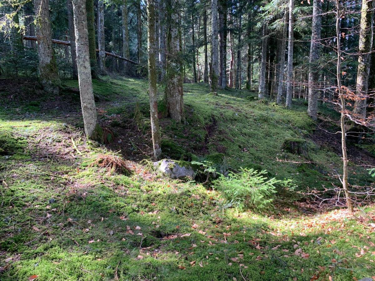 Gite " Oree Des Bois" Vertolaye Eksteriør bilde