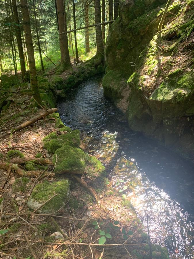 Gite " Oree Des Bois" Vertolaye Eksteriør bilde