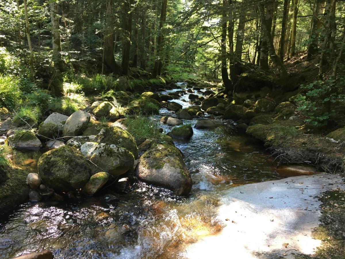 Gite " Oree Des Bois" Vertolaye Eksteriør bilde