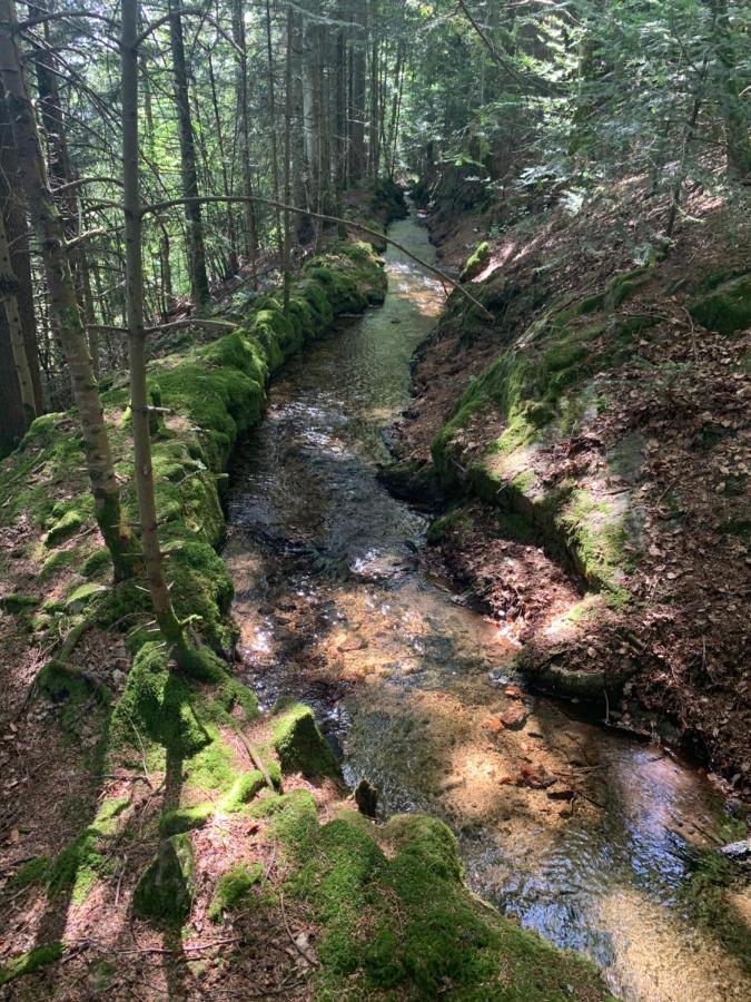 Gite " Oree Des Bois" Vertolaye Eksteriør bilde
