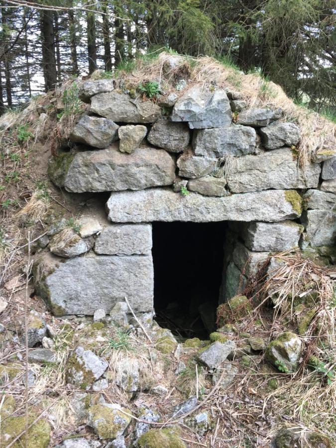 Gite " Oree Des Bois" Vertolaye Eksteriør bilde