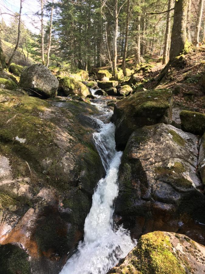 Gite " Oree Des Bois" Vertolaye Eksteriør bilde